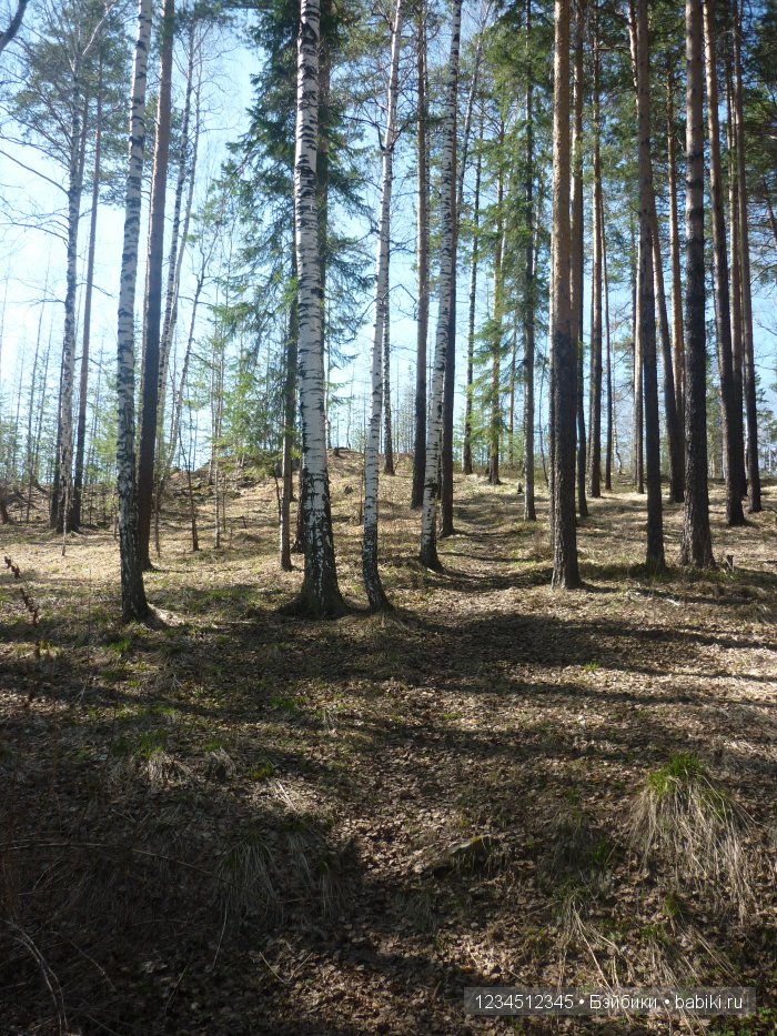 Весна на Уральских горах — Куклы Gotz (Готц): Ханна