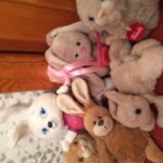 Мое заячье семейство