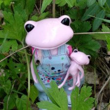 Таша+Таша или мои лягушки путешественницы