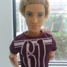 Кен шарнирный из дома мечты))).