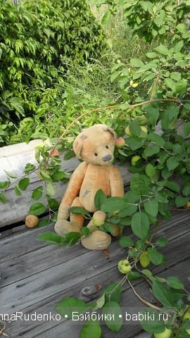 Мои мишки тедди и друзья — Другие хобби и увлечения: сад