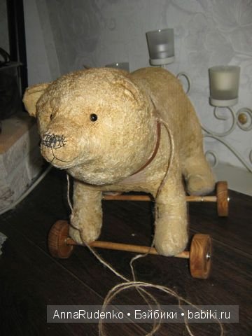 Мои мишки тедди и друзья — Другие хобби и увлечения: сад