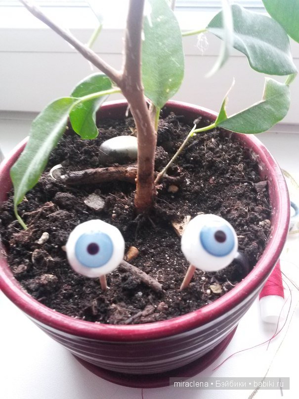 История предновогодняя - царевна лягушка - часть 1 (фото 6)