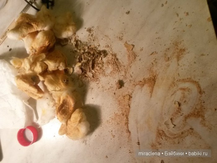 История предновогодняя - царевна лягушка - часть 1 (фото 7)