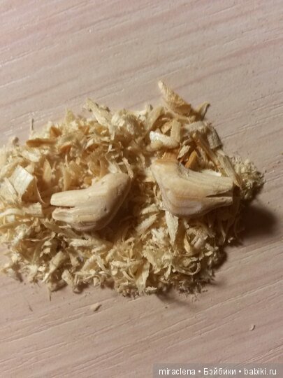 ЛидУ... моя долгожданная и нежно любимая девочка