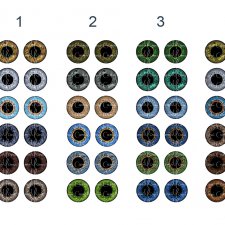 Ура ,я закончила новые дизыйны чипов для кукол Блайз