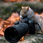 Секреты фотографирования кукол - поделитесь