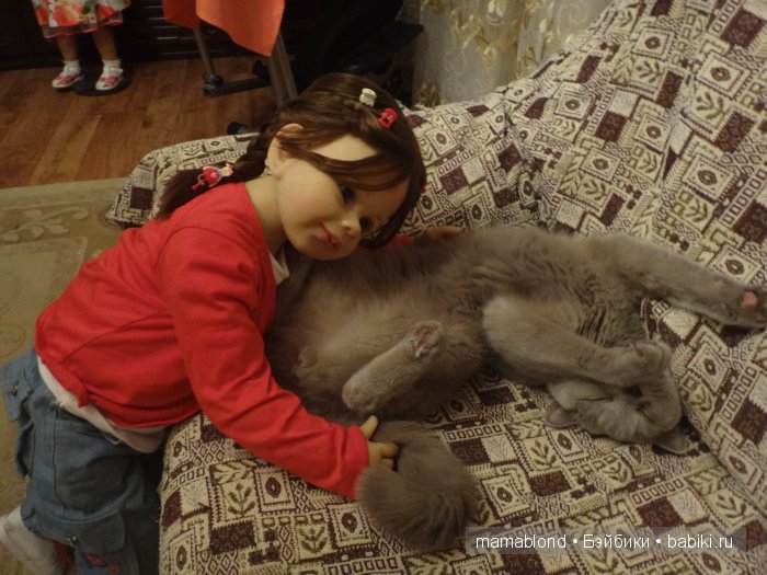 Как мы мешали спать коту. По следам конкурса " Кукла и питомец"