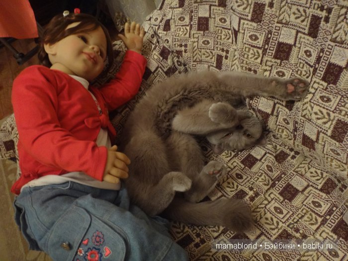 Как мы мешали спать коту. По следам конкурса " Кукла и питомец"