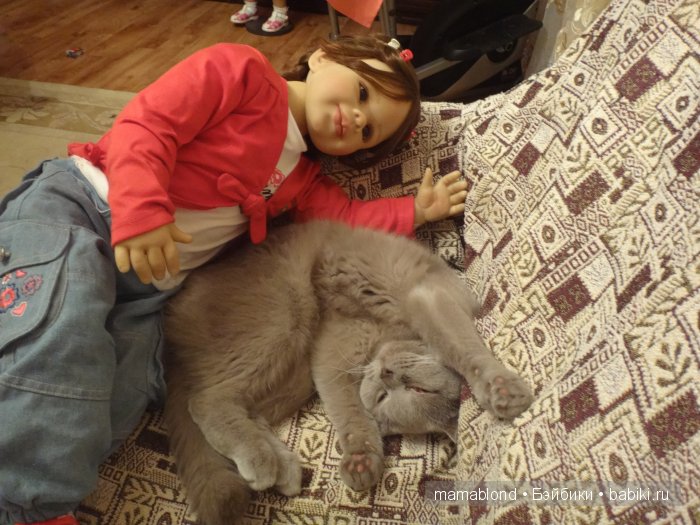 Как мы мешали спать коту. По следам конкурса " Кукла и питомец"