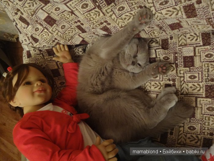 Как мы мешали спать коту. По следам конкурса " Кукла и питомец"