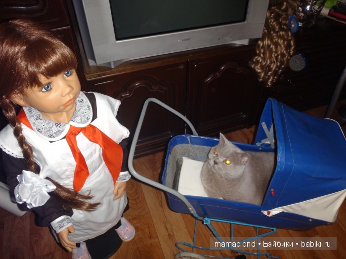 Как мы мешали спать коту. По следам конкурса " Кукла и питомец"