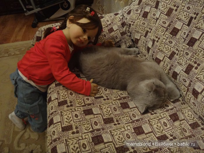 Как мы мешали спать коту. По следам конкурса " Кукла и питомец"