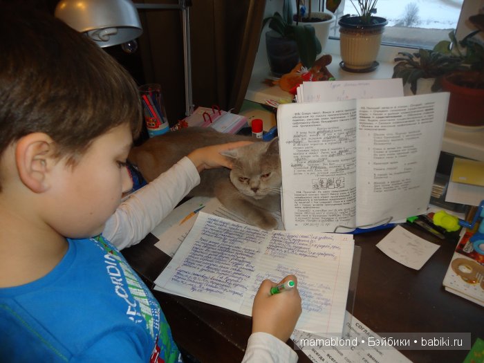 Как мы мешали спать коту. По следам конкурса " Кукла и питомец"