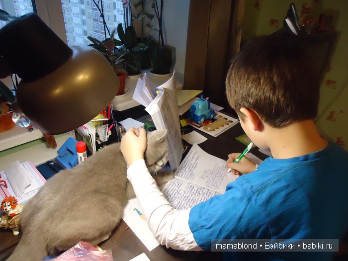 Как мы мешали спать коту. По следам конкурса " Кукла и питомец"