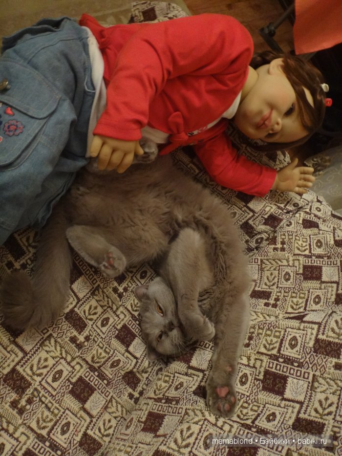 Как мы мешали спать коту. По следам конкурса " Кукла и питомец"