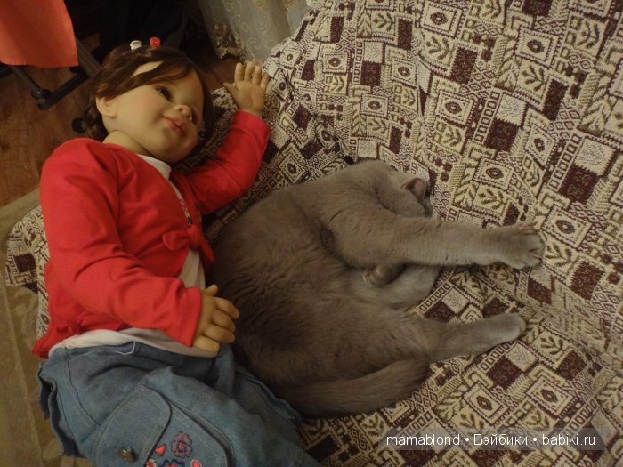 Как мы мешали спать коту. По следам конкурса " Кукла и питомец"
