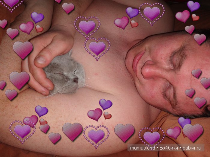 Как мы мешали спать коту. По следам конкурса " Кукла и питомец"