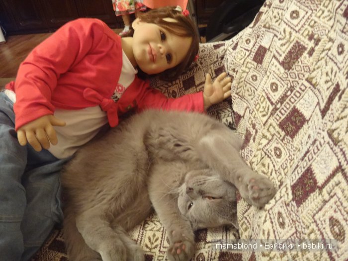 Как мы мешали спать коту. По следам конкурса " Кукла и питомец"