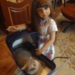 Как мы мешали спать коту. По следам конкурса " Кукла и питомец"