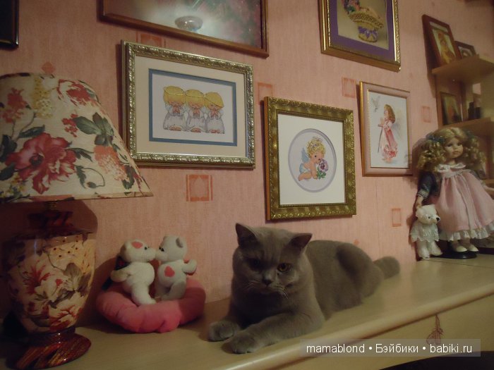 Мои ангелы — Другие хобби и увлечения: сад (фото 7)