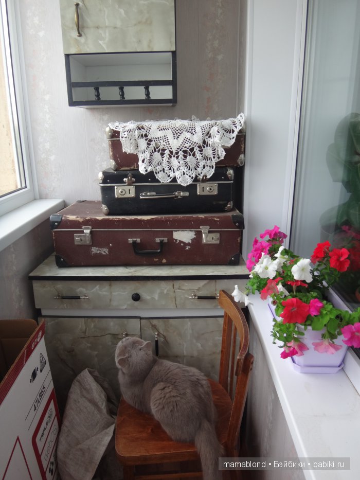 Чемоданчик с сокровищами — Другие хобби и увлечения: сад