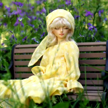 Дачное настроение