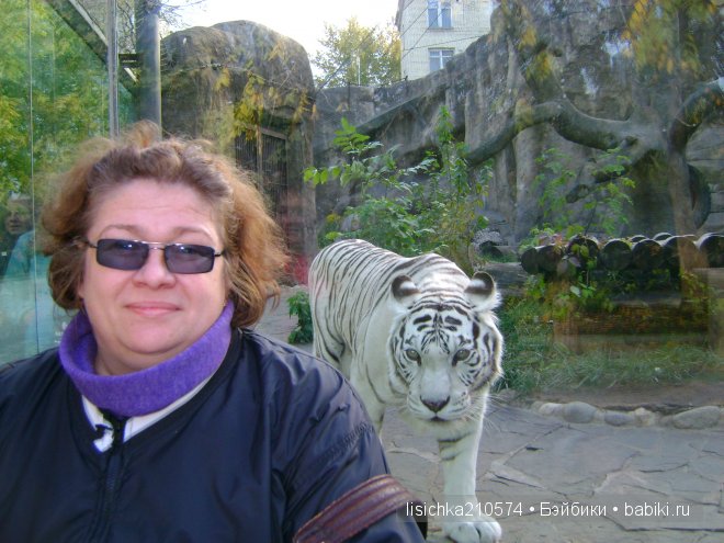 Как в центре Москвы на меня напал тигр, а я не испугалась (фото 4)
