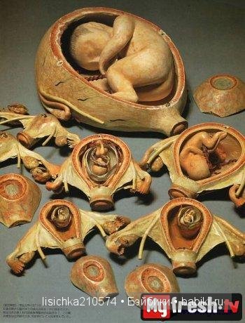 "День рождения кукол" или почему у кукол нет праздника (фото 6)