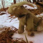 Творческий порыв или приступ шизофрении, а вообще-то просто заяц по кличке "Галлюцинация"