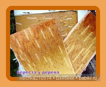 Плетение из бересты, начало. (Федорова Надежда)