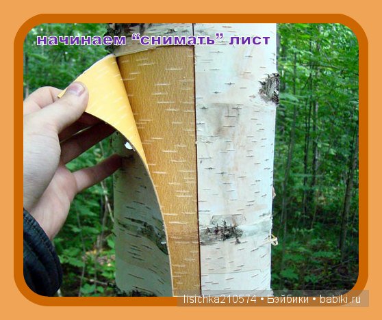 Плетение из бересты, начало. (Федорова Надежда) (фото 4)