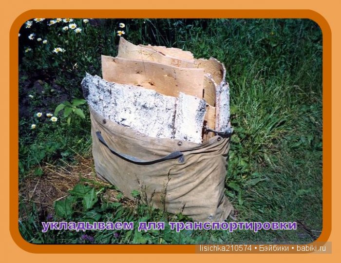 Плетение из бересты, начало. (Федорова Надежда) (фото 8)