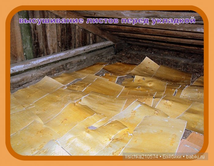 Плетение из бересты, начало. (Федорова Надежда) (фото 9)