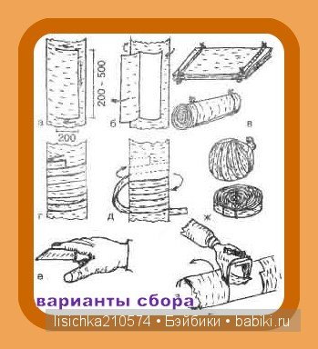 Плетение из бересты, начало. (Федорова Надежда) (фото 2)