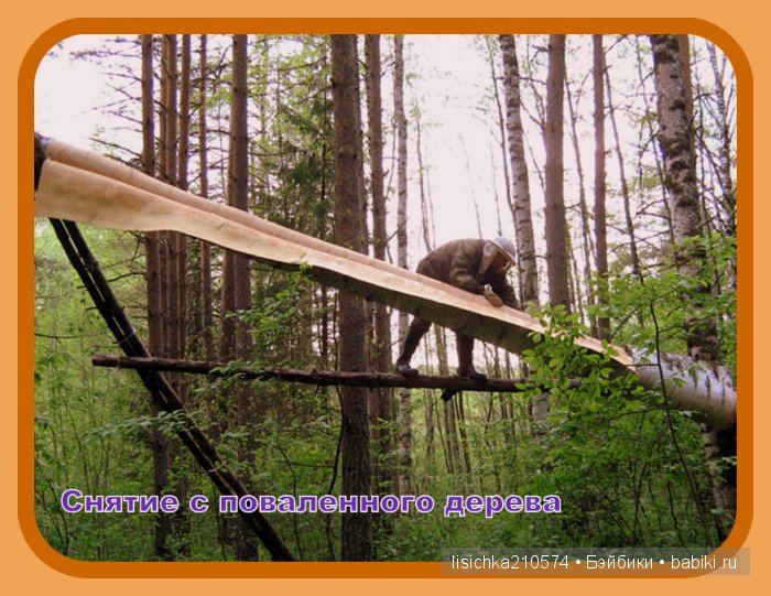 Плетение из бересты, начало. (Федорова Надежда)