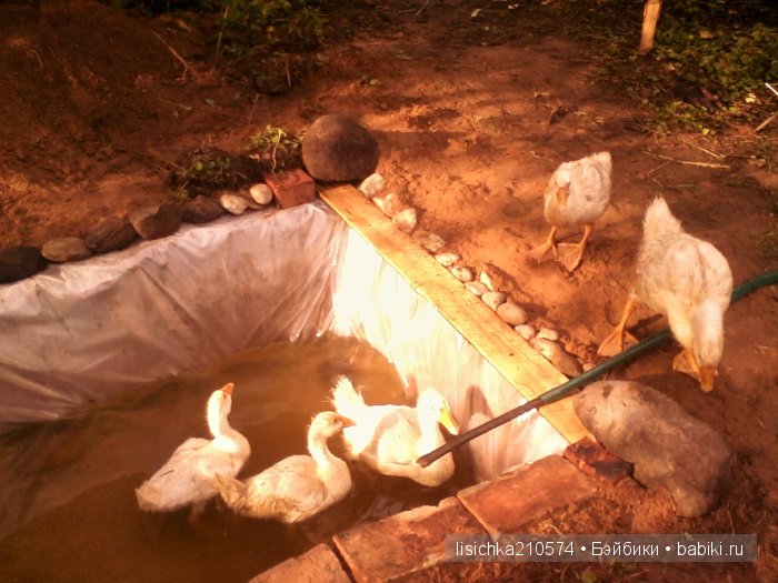 На ловца и... пупсики сбегаются! Чудесная находка (фото 9)