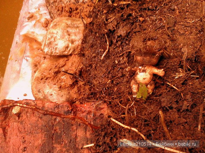 На ловца и... пупсики сбегаются! Чудесная находка (фото 2)