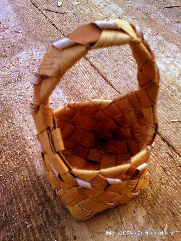 А с чем ходили по грибы, ваши любимцы (фото 8)