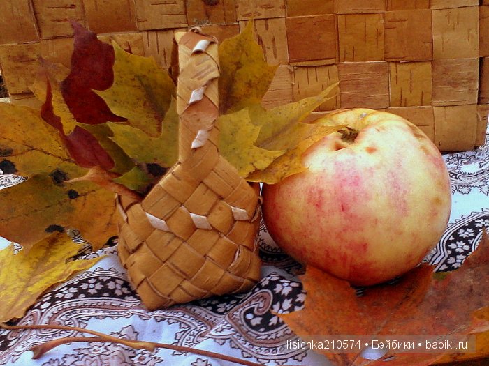 А с чем ходили по грибы, ваши любимцы (фото 10)