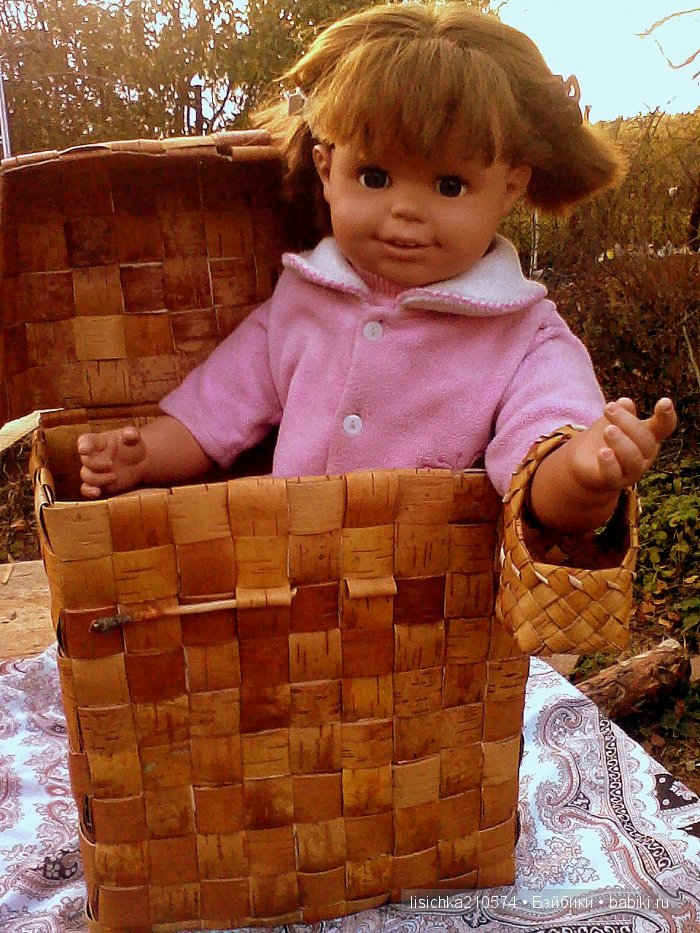 А с чем ходили по грибы, ваши любимцы (фото 6)