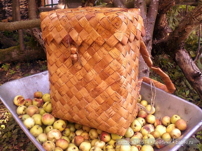 А с чем ходили по грибы, ваши любимцы (фото 7)