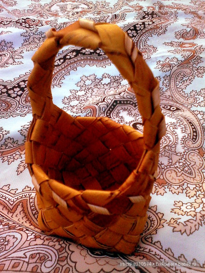 А с чем ходили по грибы, ваши любимцы (фото 9)