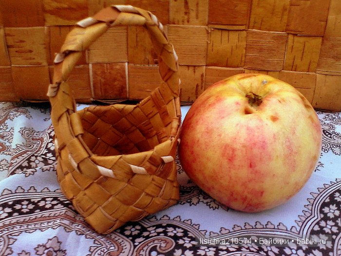 А с чем ходили по грибы, ваши любимцы