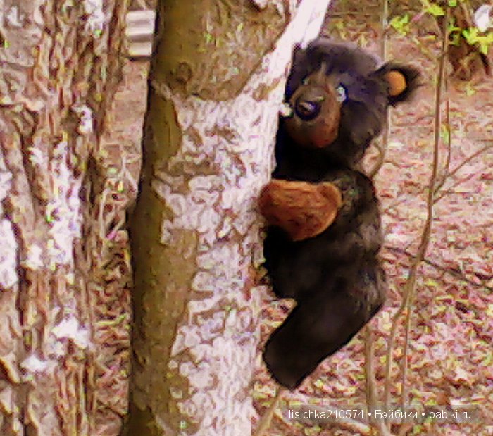 Топтыжка - мишка тедди сладкоежка! Новая игрушка от Федоровой Надежды