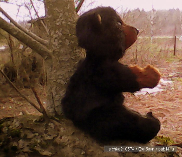 Топтыжка - мишка тедди сладкоежка! Новая игрушка от Федоровой Надежды