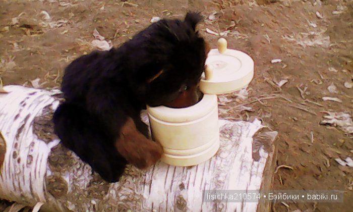 Топтыжка - мишка тедди сладкоежка! Новая игрушка от Федоровой Надежды