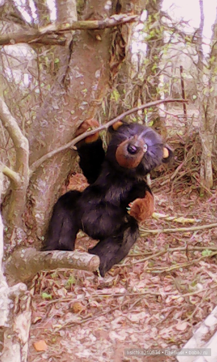 Топтыжка - мишка тедди сладкоежка! Новая игрушка от Федоровой Надежды (фото 9)