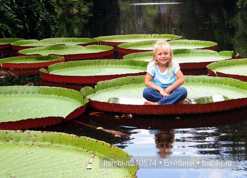 Жил-был песик, не очень мокрый носик! Авторская игрушка Федоровой Надежды (фото 4)