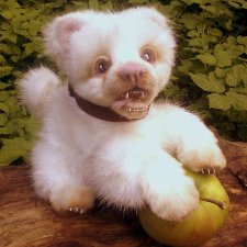 Жил-был песик, не очень мокрый носик! Авторская игрушка Федоровой Надежды